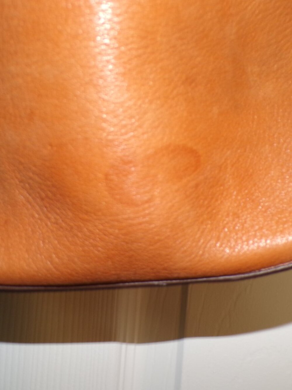 Leather Fossil Bag - Picture 10 of 15